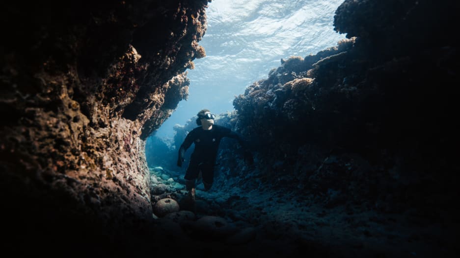 How one group is using artificial intelligence to replant coral reefs