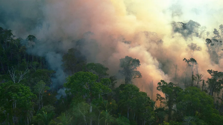 How Brazil’s government is clearing the way for Amazon deforestation