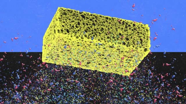 Microplastics are everywhere. These sponges could help capture them