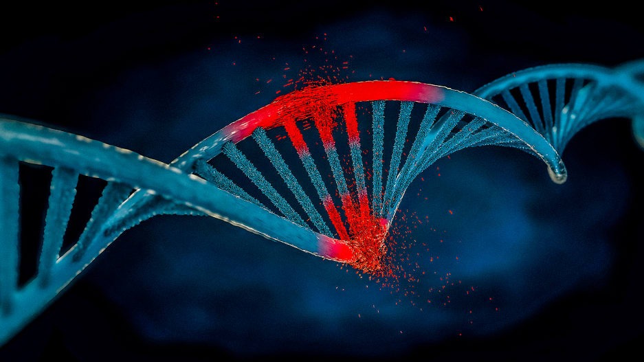 A new method to differentiate between genetic mutations could lead to better cancer treatments