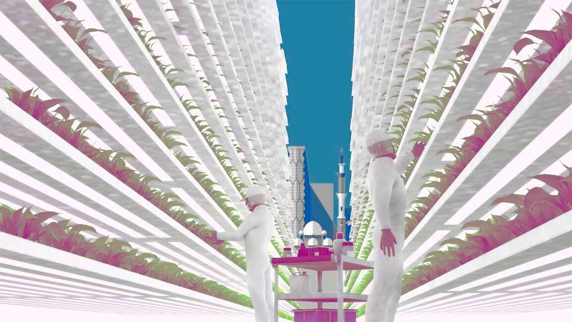 Now, Abu Dhabi is home to the largest vertical farm in the world