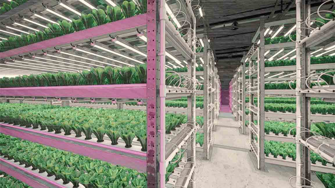 ADQ’s AgTech Park begins operations to boost UAE’s food security