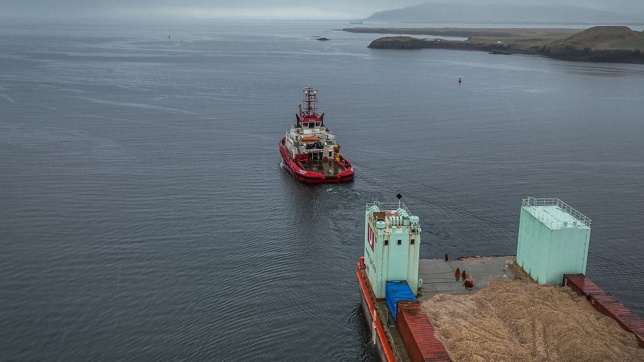 Why this startup is covering the ocean with wooden balls