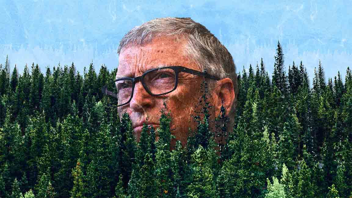 Bill Gates says it's 'complete nonsense' that planting trees can solve  climate change. Here's why we