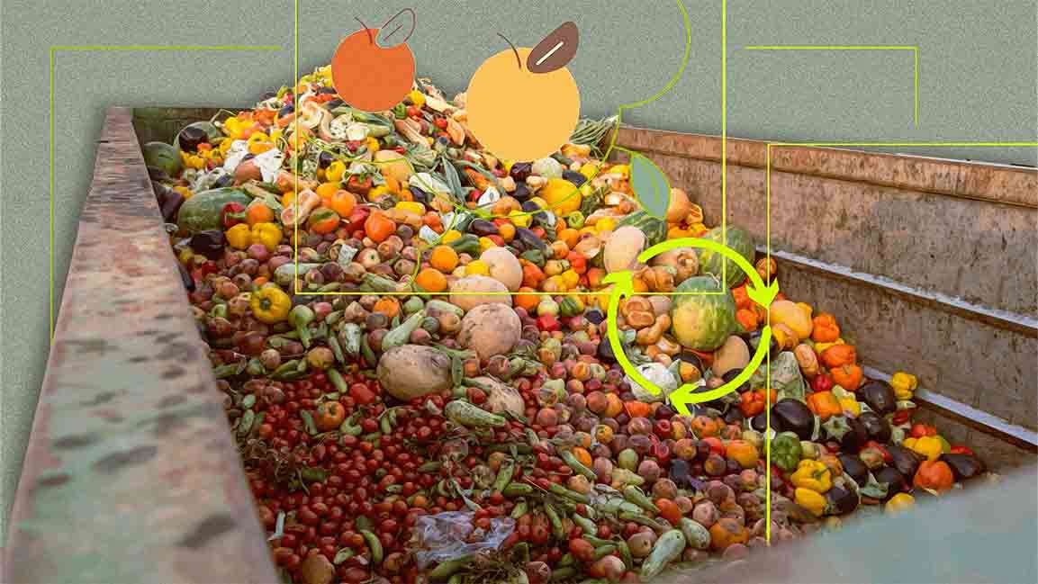 UAE unveils national action plan to cut food waste by 50% by 2030