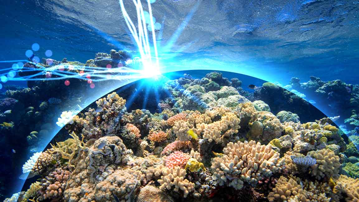 Red Sea Global pledges coral protection with Cordap deal
