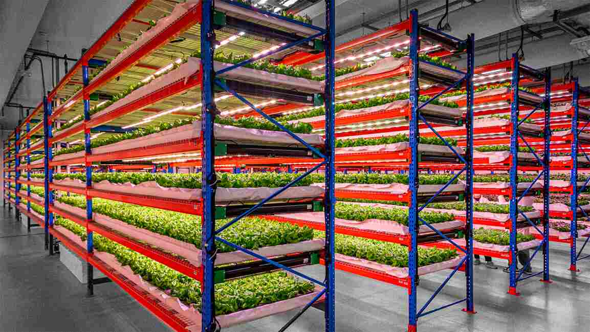 Emirates Flight Catering acquires Bustanica, the indoor vertical farm