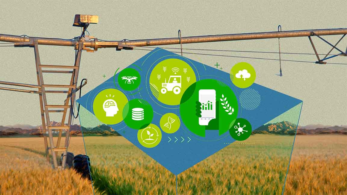 Saudi Arabia introduces Sonbola initiative to boost agricultural startup ecosystem