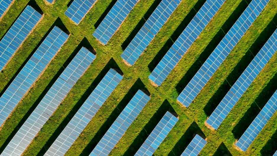 The ecovoltaic approach: Solar power developments could be more ecologically beneficial to land and animals