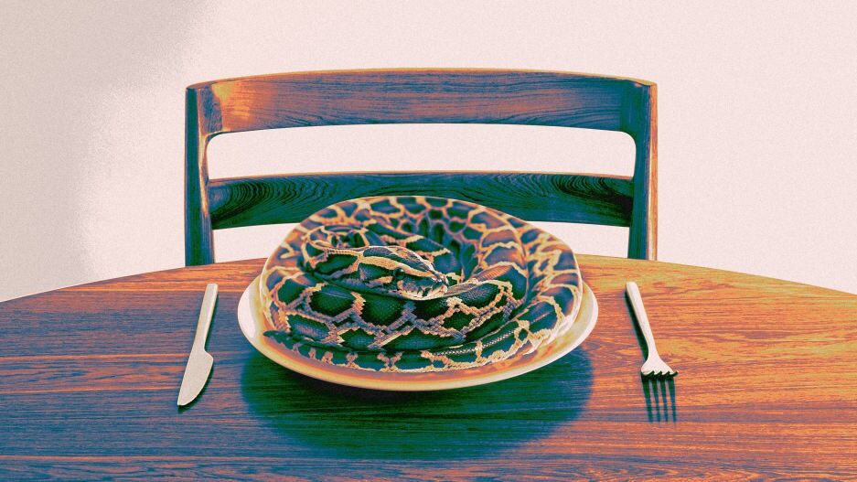 Would you eat a python? It may be the sustainable food of the future