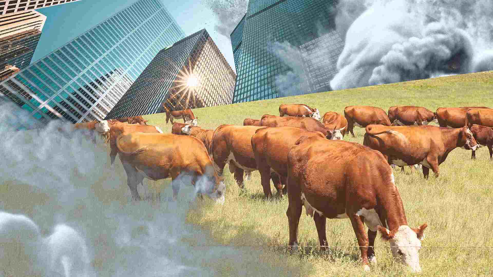 Big banks could help slash agricultural emissions—so why aren’t they?