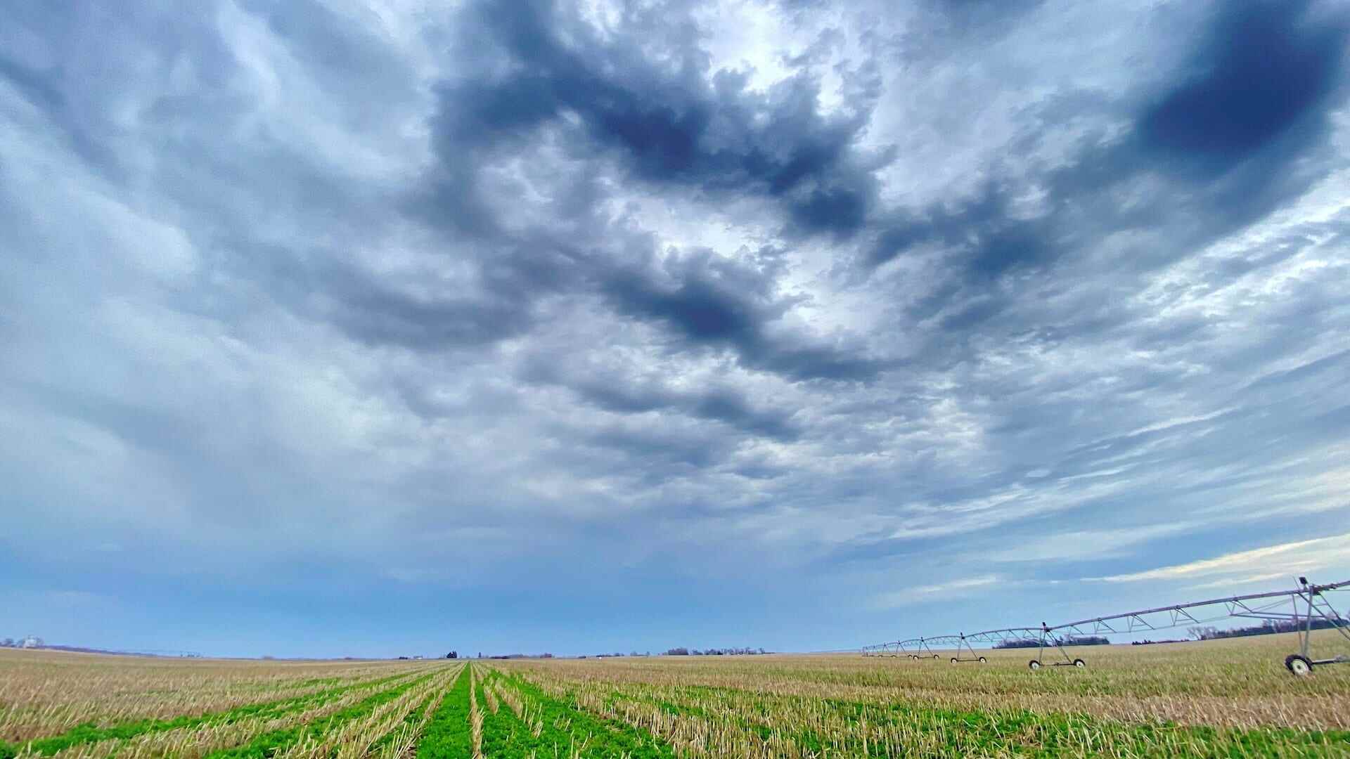 Experts are divided on climate-friendly farming’s effectiveness