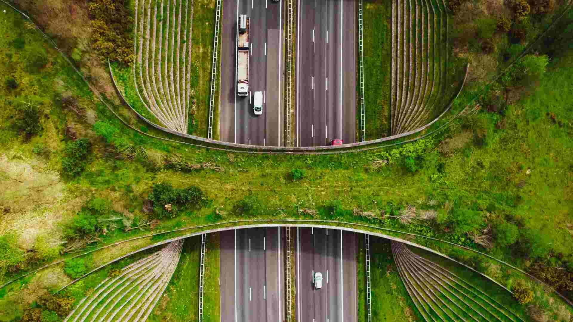 How global transport is getting greener, safer, and smarter
