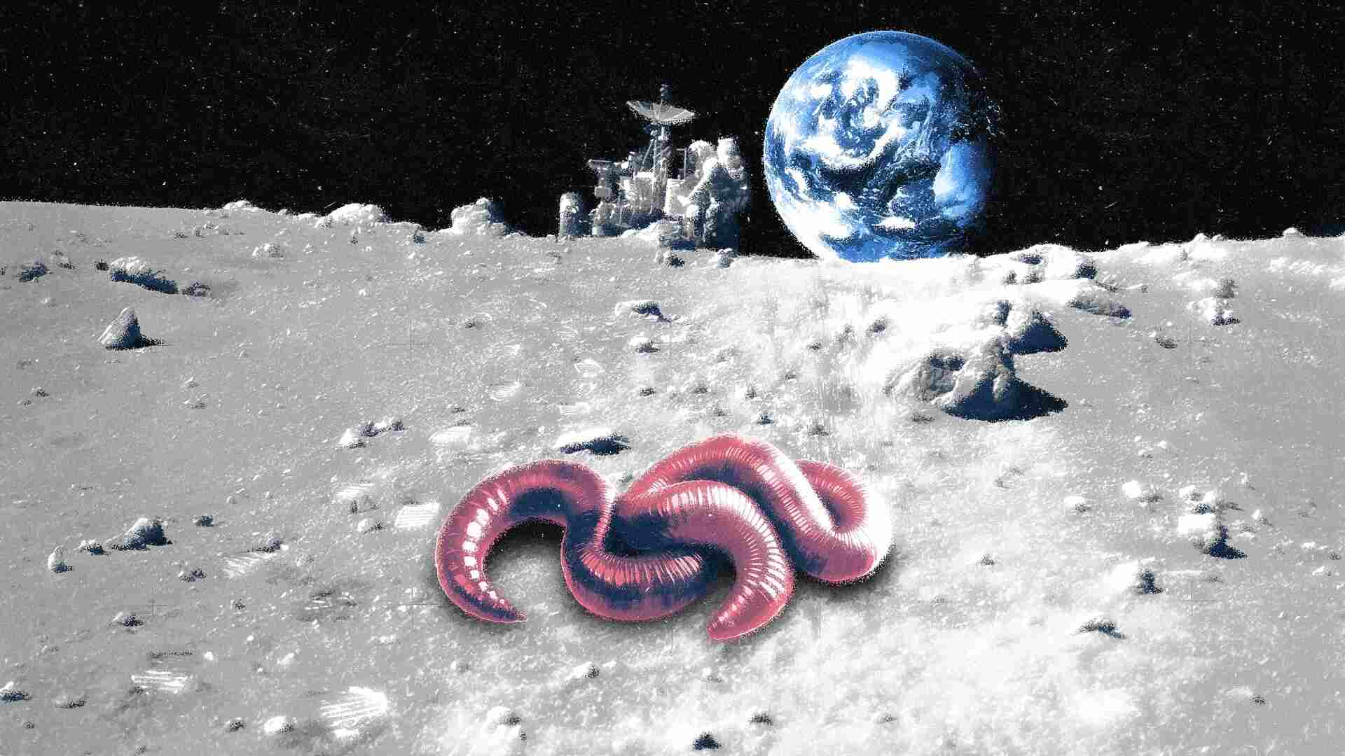 The solution to growing food in space? Worms