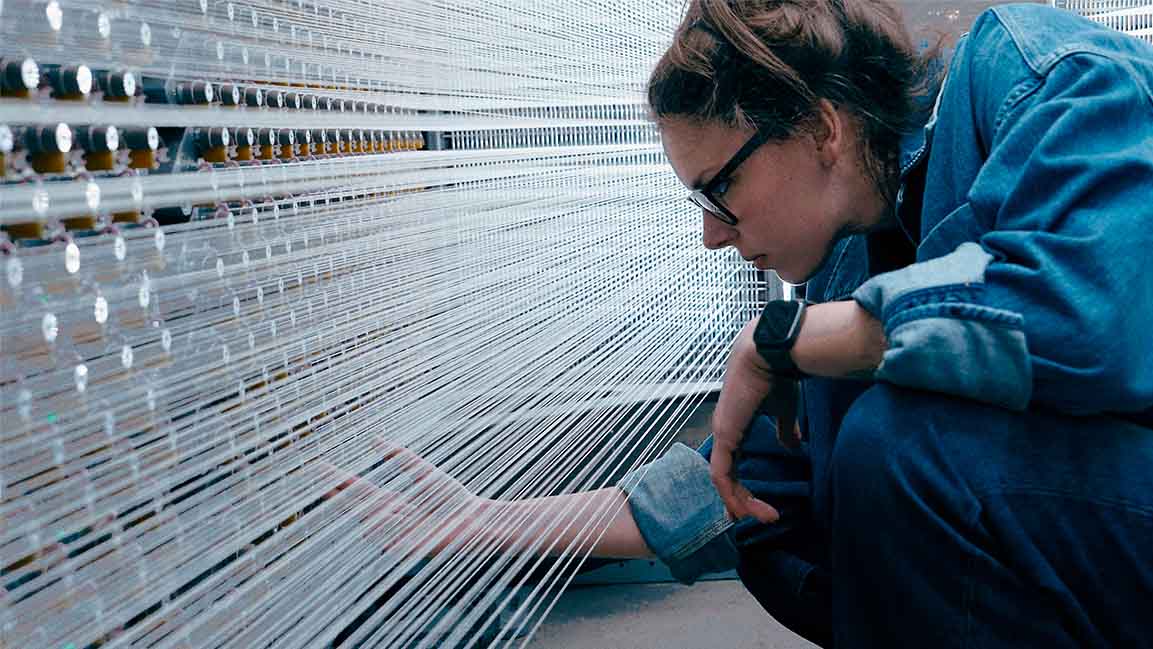 Someday your jeans could be grown in a greenhouse down the street