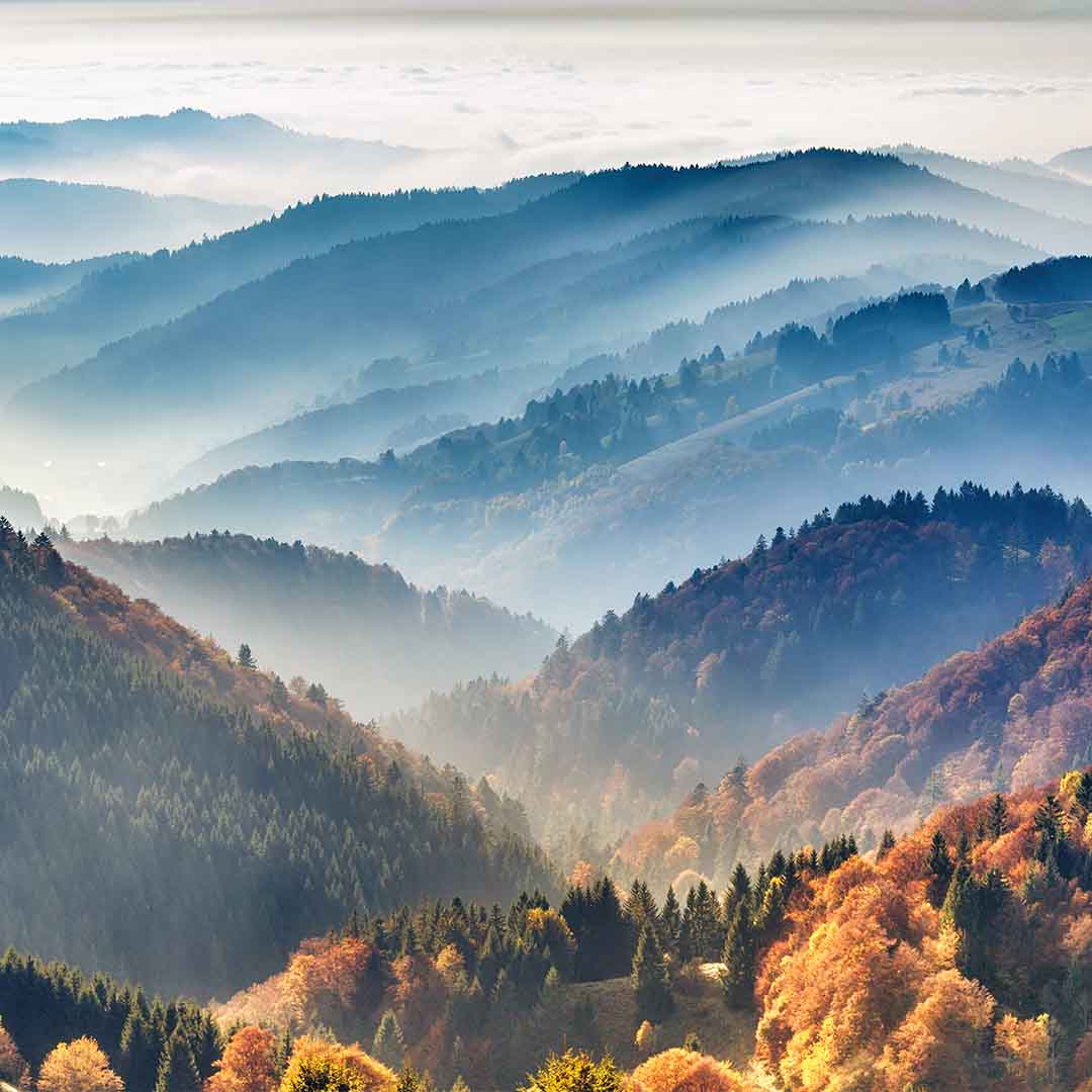 Germany Black Forest Shutterstock