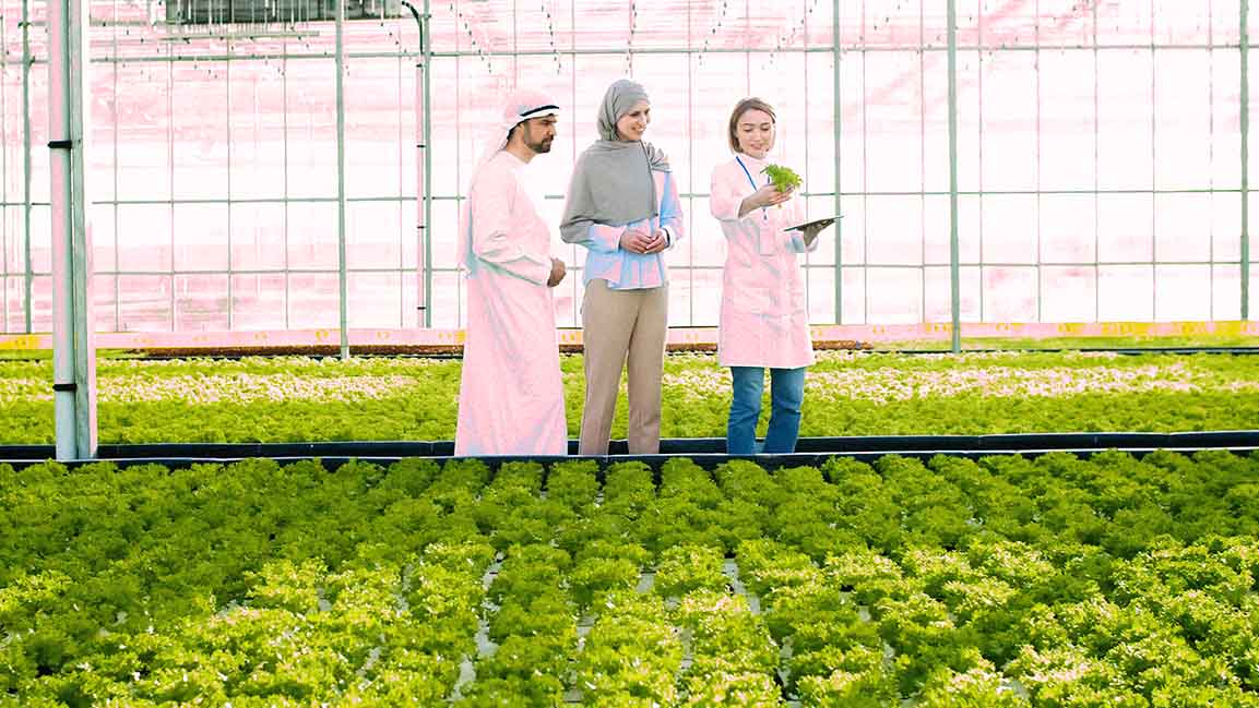 Research centers join forces to bolster food and water innovation in Abu Dhabi