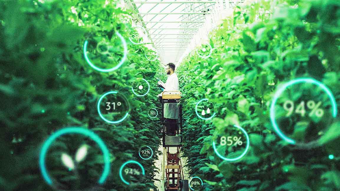 From farm to fork: How AI is transforming the food industry in the UAE