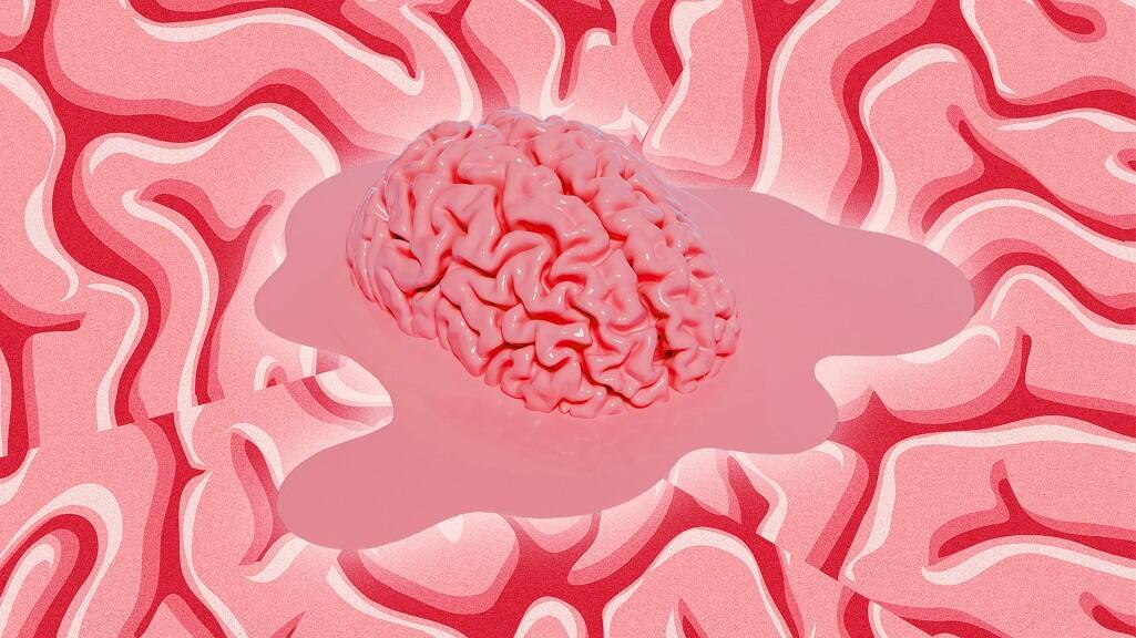 Do our phones really rot our brains? Here’s what the science says