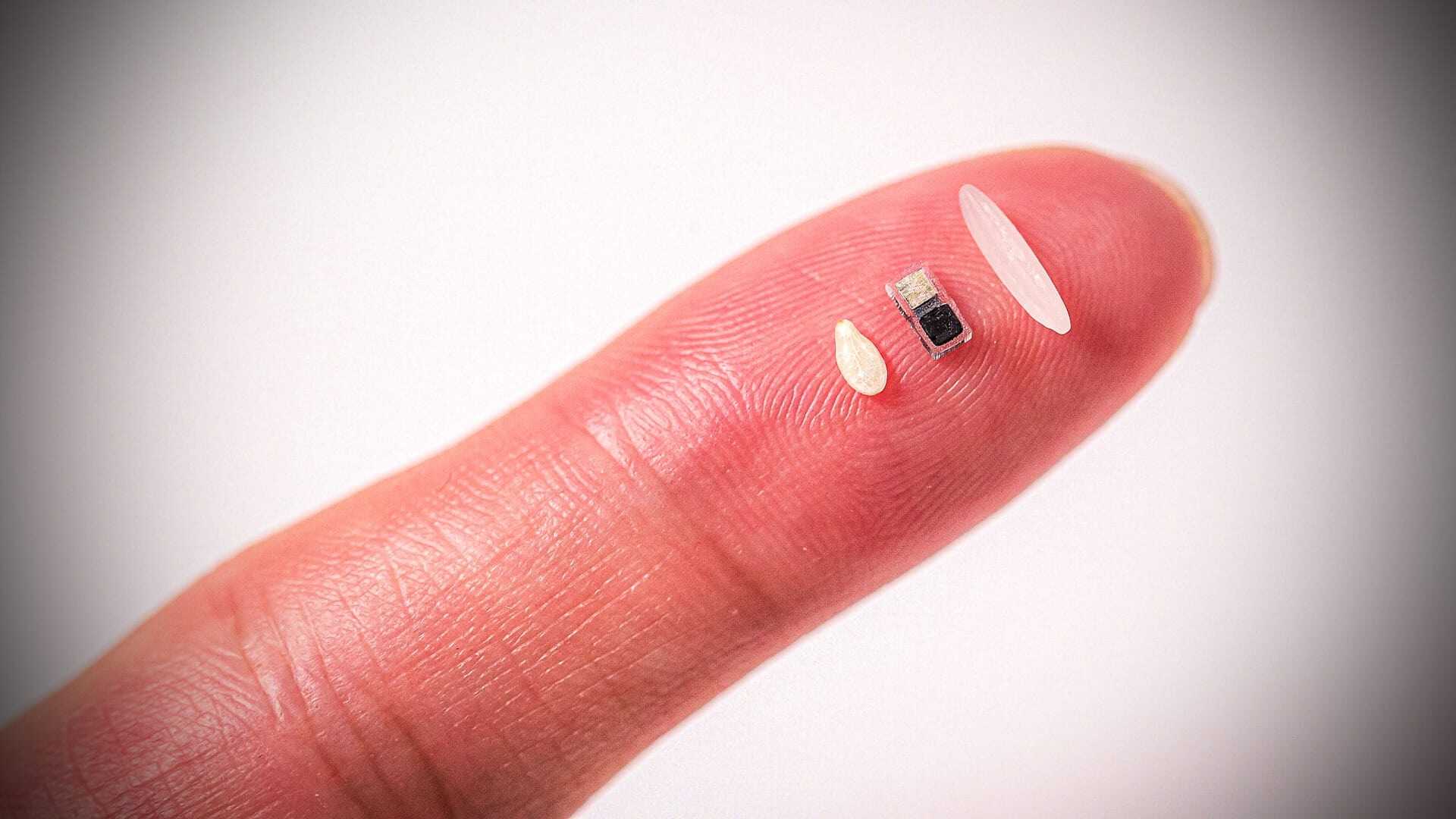 This new pacemaker is smaller than a grain of rice