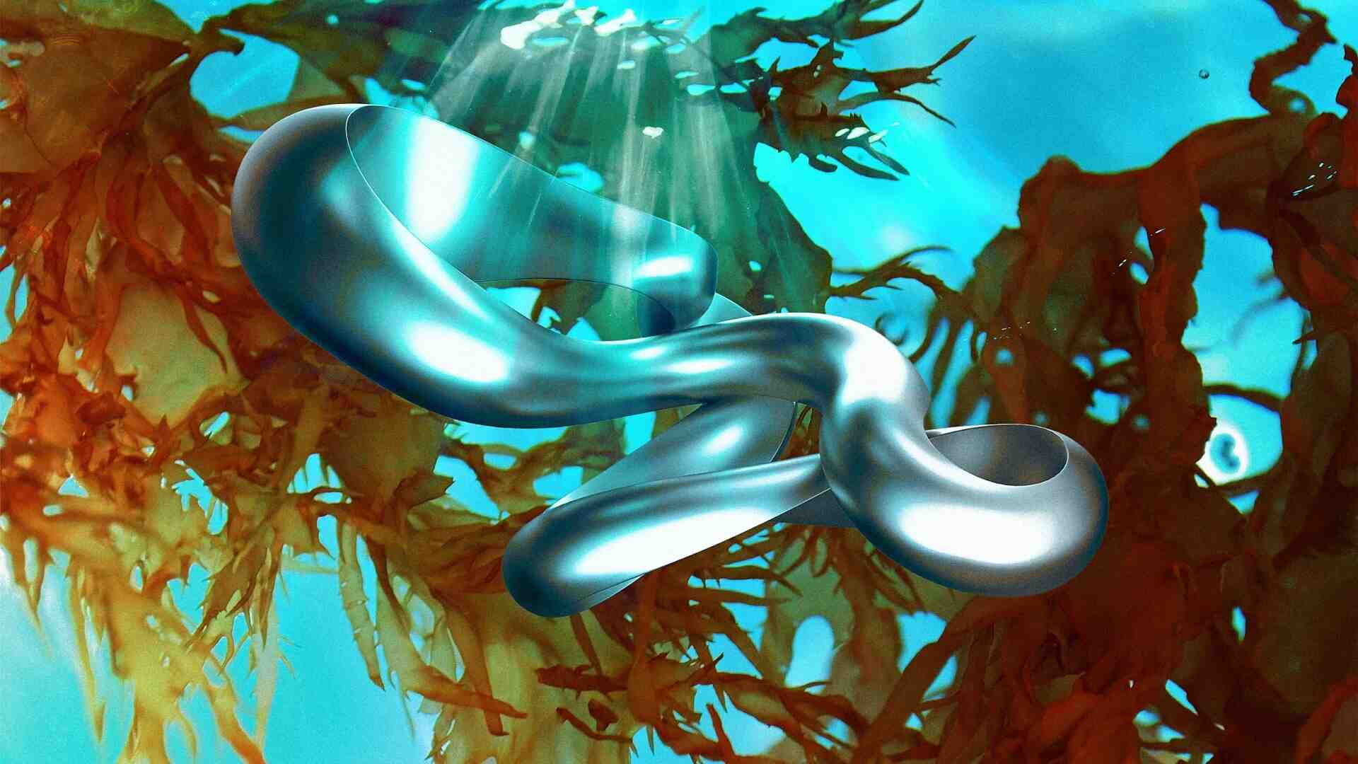 Forget deep sea mining. This startup is getting critical minerals from seaweed instead