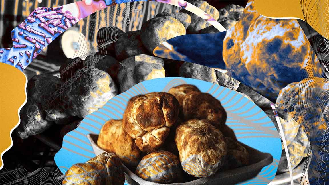 Can the Gulf’s fagga compete with Europe’s luxury delicacy, truffle? Can the Gulf’s fagga compete with Europe’s luxury delicacy, truffle?