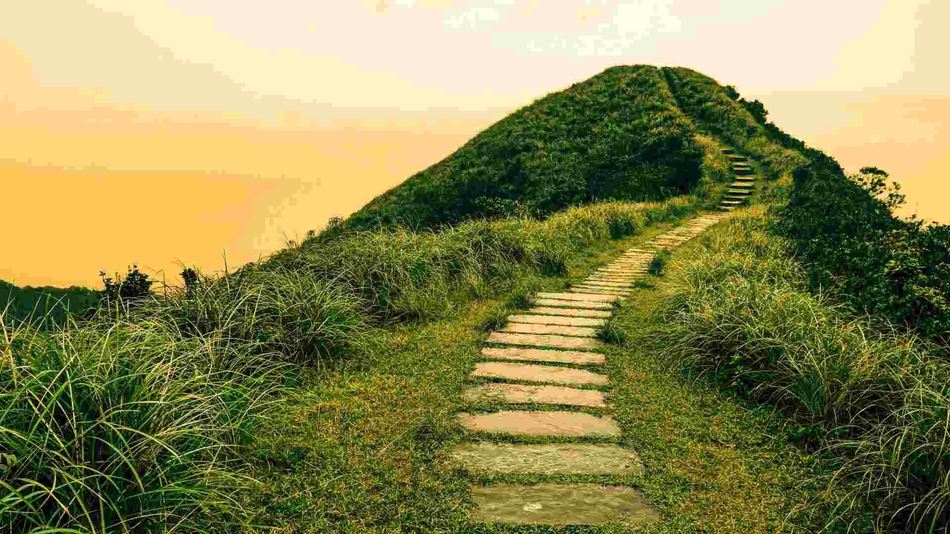 How to move forward when you don’t know your next career step