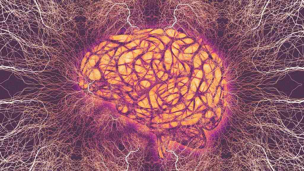 How understanding how your brain works can make you a better leader