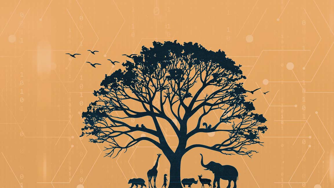 Qatar marks World Environment Day with launch of national biodiversity database