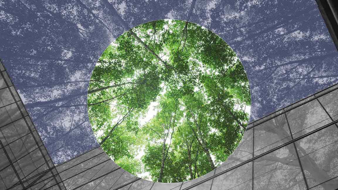 UAE takes legal leap on climate action with new emissions law