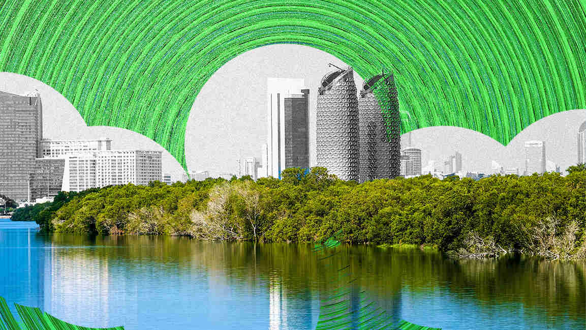 EAD becomes first UAE regulator to earn second carbon neutrality certification