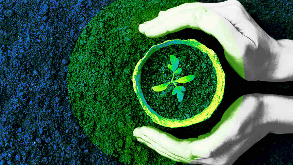 Saudi biodiversity campaign restores 700,000 hectares and plants 3 million trees with 11,000 volunteers