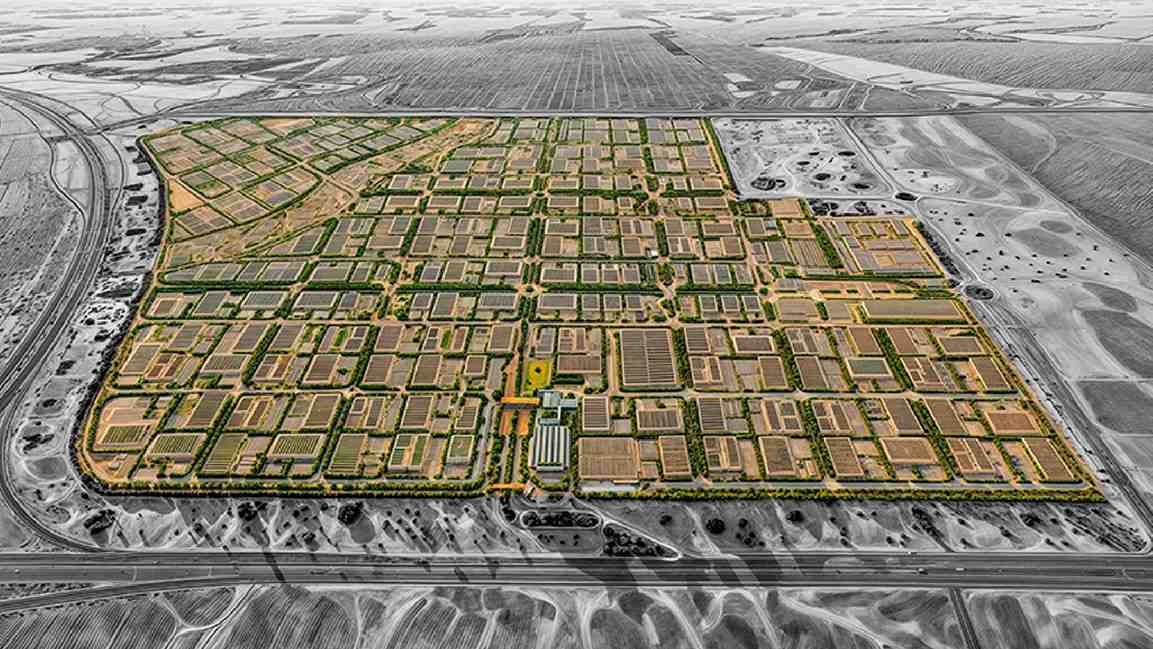 Invest Saudi to showcase kingdom’s digital ambitions at Web Summit 2025