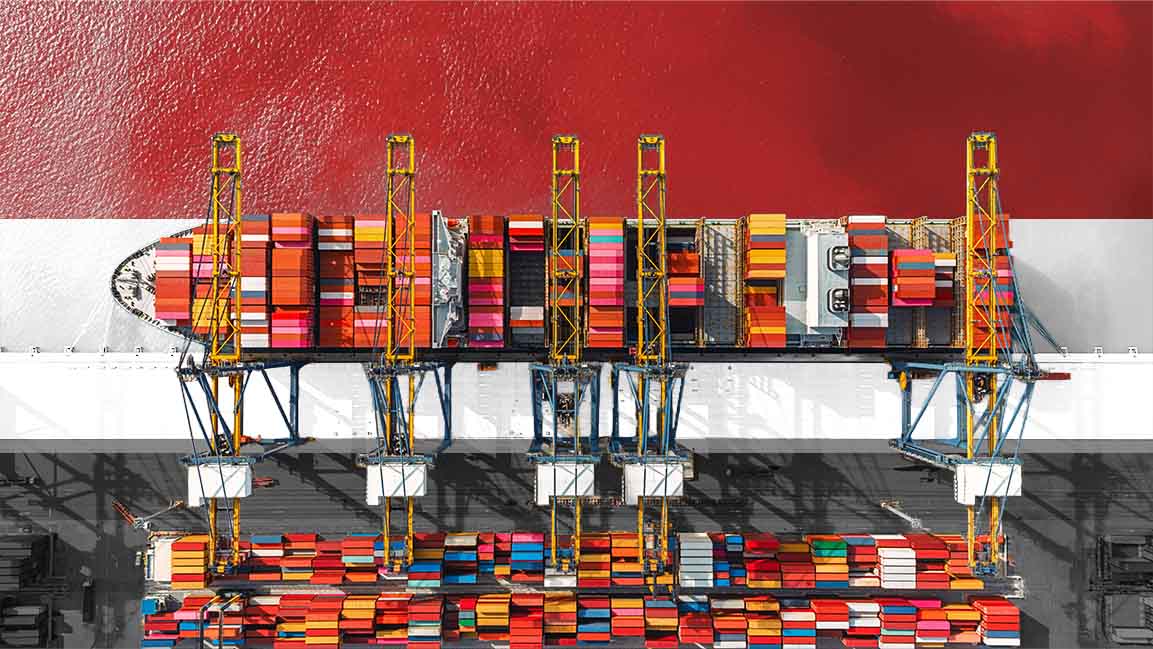 Egypt signs port agreements with SCZONE to boost cargo capacity
