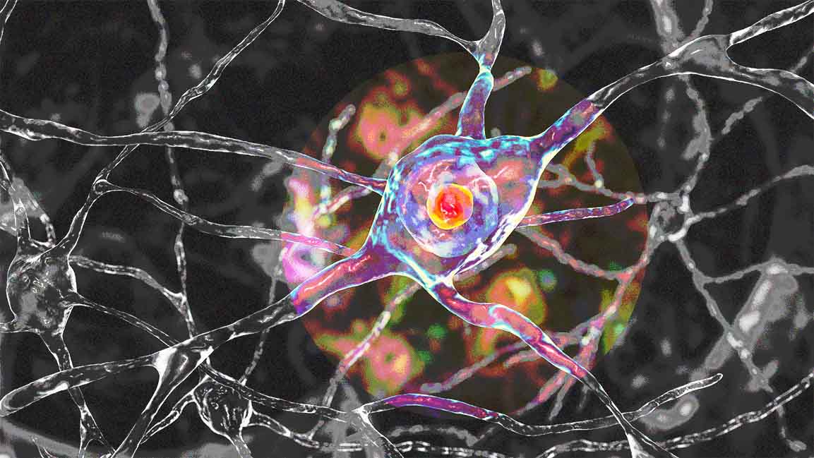 Abu Dhabi Stem Cells Centre identifies new Huntington’s disease mechanism in breakthrough research