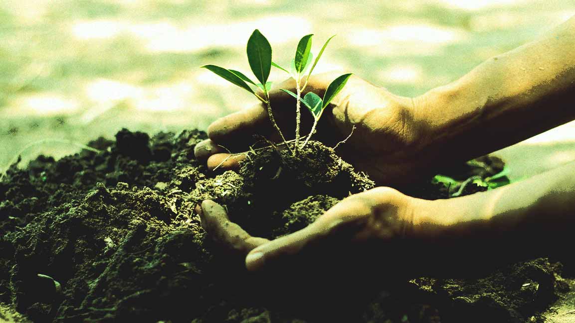 Middle East Green Initiative sets goal to plant 35.4 billion trees across the region