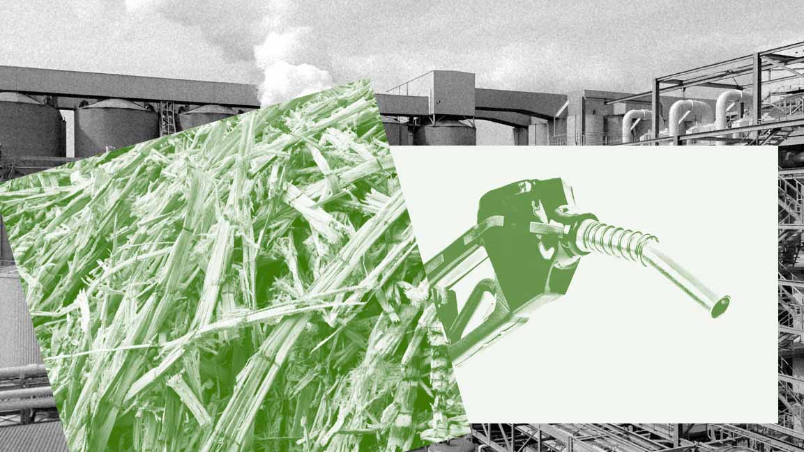 Egypt to turn sugarcane waste into bioethanol in $278 million project