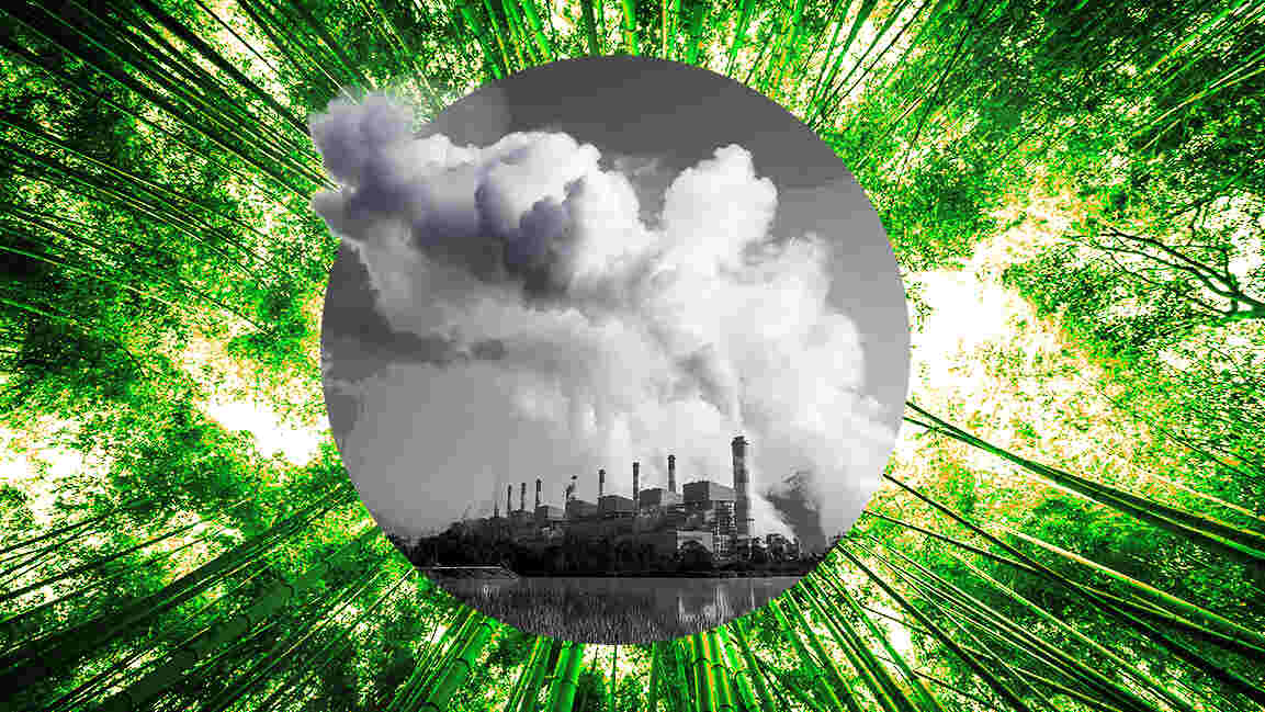 Egypt builds new expertise hub for sustainable finance and carbon markets