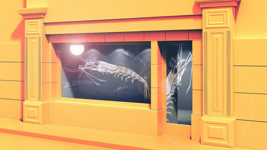 These color-changing, energy-saving windows are inspired by an unlikely sea creature